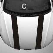 Stripe Car Covers